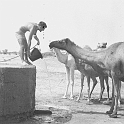 333ATN 1970 VIGILANCIA DE POZOS